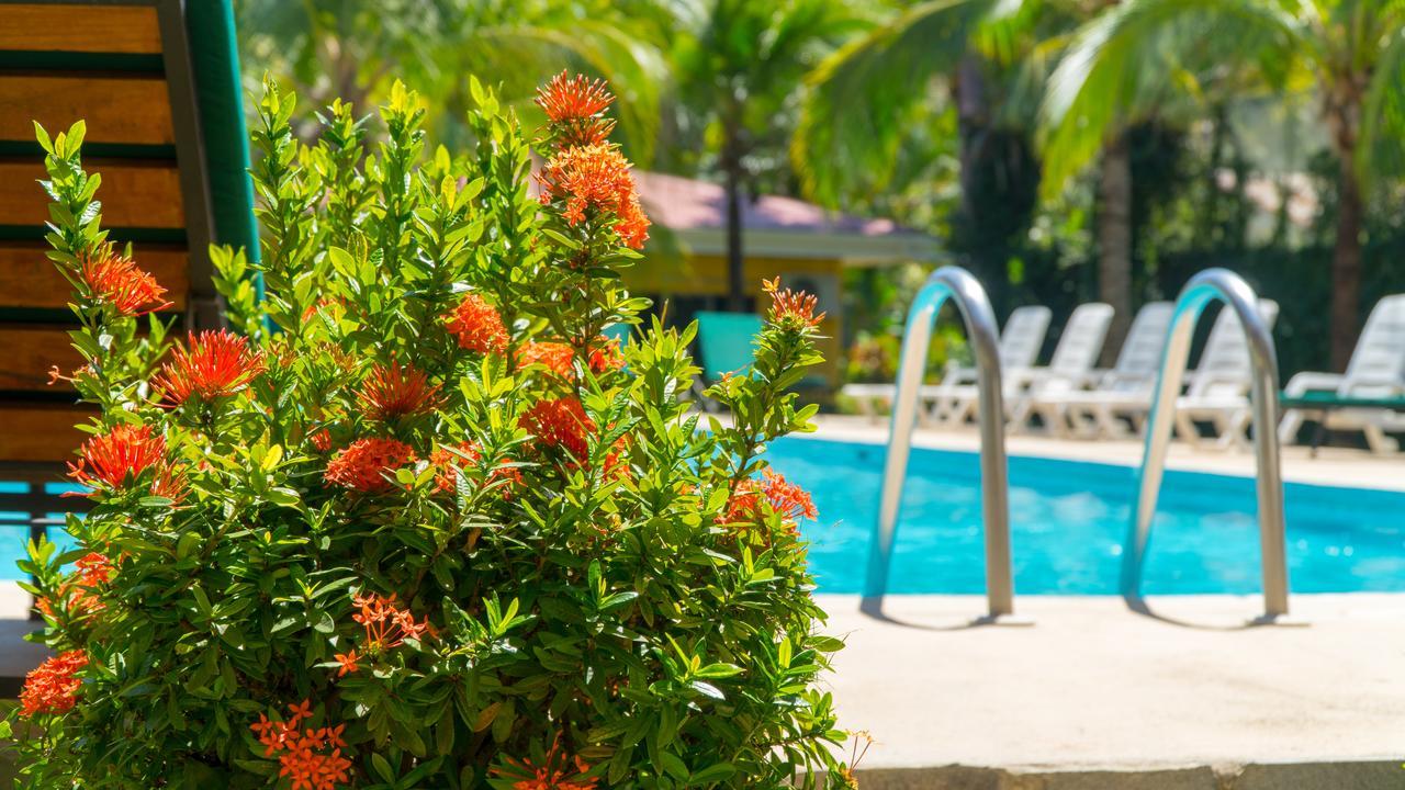 Hotel Isolina Beach Potrero  Exterior foto